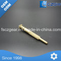 High Precision Customized Brass Transmission en laiton Small Spline pour diverses machines