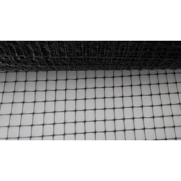 Plastic Double Dirrection Strength Net