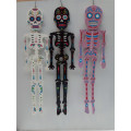 Terror Wooden Human Skeleton Hanging