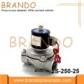 2/2 Way Stainless Steel Solenoid Valve 2S-250-25