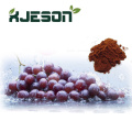 Grape Seed Extract powder