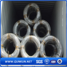 Electro Galvanized Wire Qualified Factory