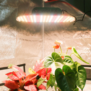 Светодиодный светильник для выращивания растений с низким уровнем нагрева, 1000 Вт, полный спектр