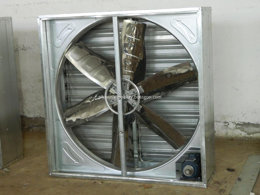 Cooling system exhaust fan for chicken