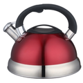 3.5L best tea kettle