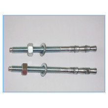 Stainless Steel Screw Type Wedge Anchor Bolt