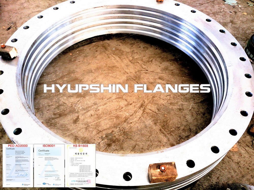 Hyupshin Flanges Lapped Loose Pn16