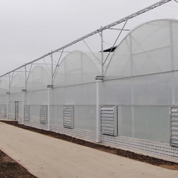 Tunnel Tropical Plastic Film Production Greenhouse