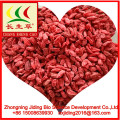 ningxia 2018 Dried wolfberry/goji/gojiberry in bulk