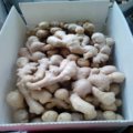 Air Dried Ginger to Russia Market