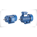 IEC Standard Y2 Series Three Phase Induction Motor