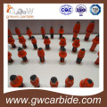 Tungsten Carbide Bullet Tooth Shaped Bit / Coal Cutter Pick/ Conical Bit