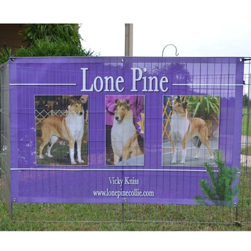 Outdoor Advertising Fence Mesh Banners Printing