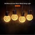 G40 Smart led string light ball