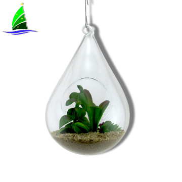 Hanging Clear Glass Succulent Flowerpot Container