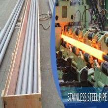 Elegant Shape Seamless 304 Stainless Steel Tube