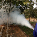 Máquina nebulizadora desinfectante profesional en India