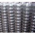 Galvanizado Knotted Wire Mesh Fence Campo de malha de arame