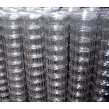 Galvanizado Knotted Wire Mesh Fence Campo de malha de arame