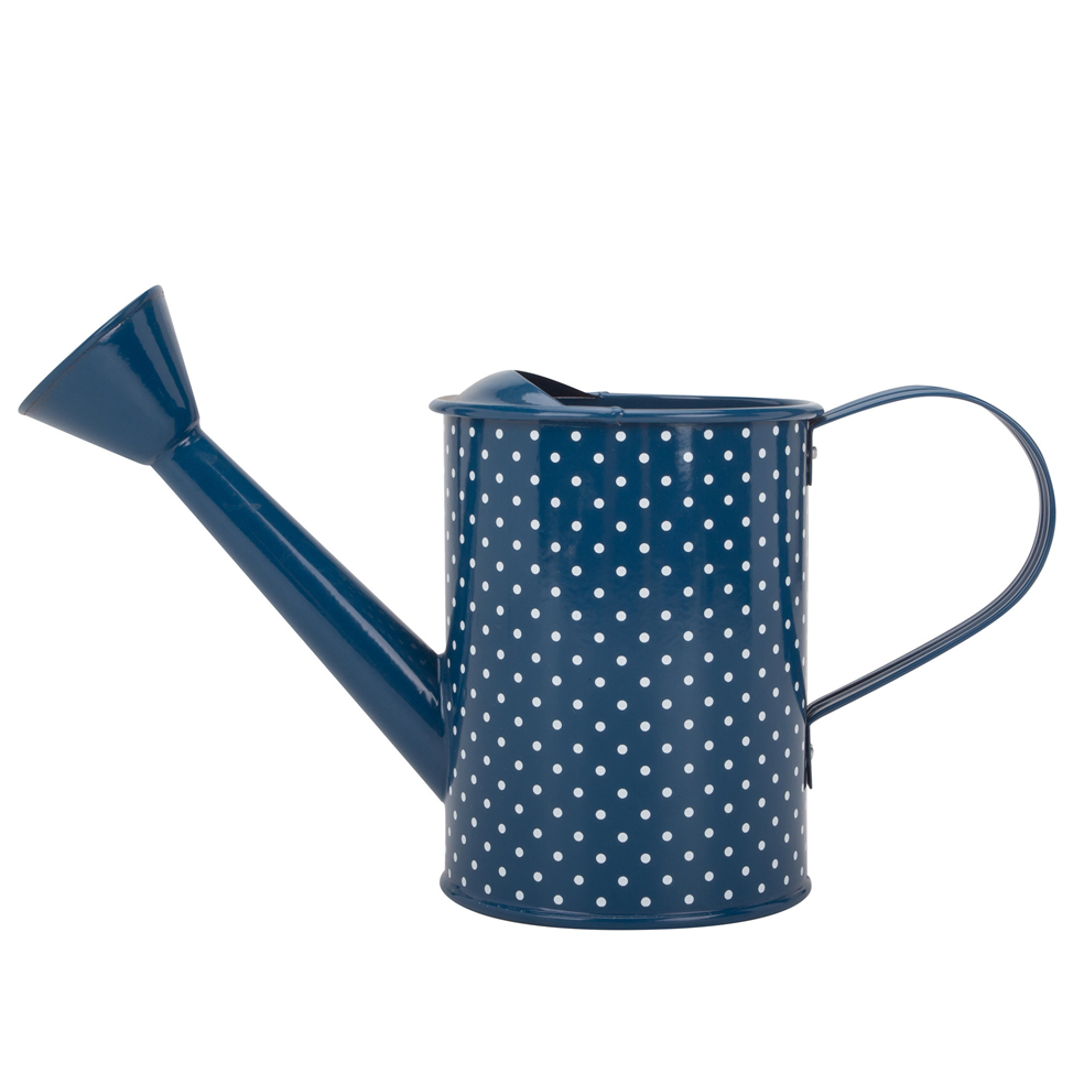 Blue Watering Can