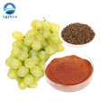 Supply High Quality Grape Seed Extract 95% OPC