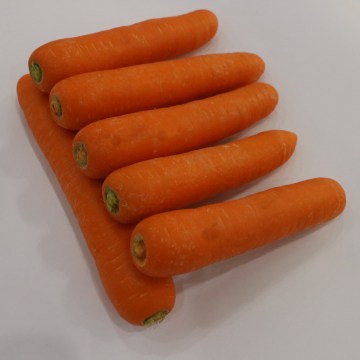 High quality fresh carrot for sale