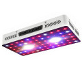 1000w Full Spectrum COB Led luces de cultivo