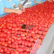 Top qualité et prix concurrentiel tomate