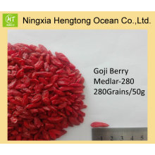 Organic Super Grade Goji Berry Wolfberry Lycium