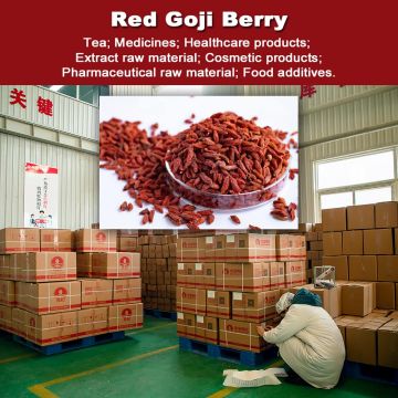 Dried Red Goji Berry Wolfberry Goji