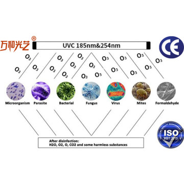 LED Ozone Generator with UV Tube Light