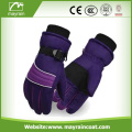 Full Lined Thinsulate SKI Gloves/ Sports Winter Gloves