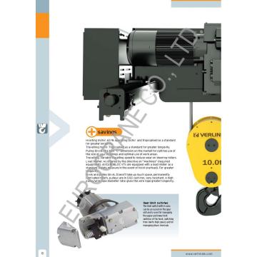 Electric Wire Rope Hoist  in crane