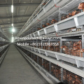 New Design Low Price H Type Battery Layer Cages