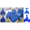 Ductile iron gate valve