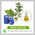 Best selling products natural blumea Oil