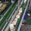 Paper cup screen printing machine printer