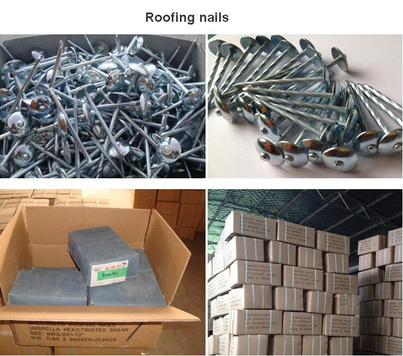 Roofing Nail