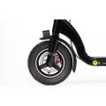 Custom Portable Portable Off Kick Board Scooter électrique