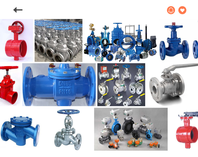 DF41X Backflow Preventer DF41X Backflow Preventer