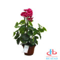 New high quality artificial potted plant for house