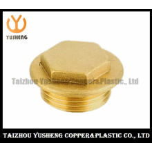 Male Brass Fitting Nut (YS3120)