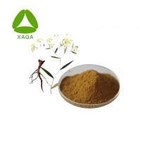 Quanan 100% Pure 10:1 Bupleurum Root Extract Powder