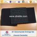 HDPE Geonet Composite Geotextile Flownet Drainage Media