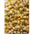 Non-GMO IQF Frozen Sweet Corn Kernels