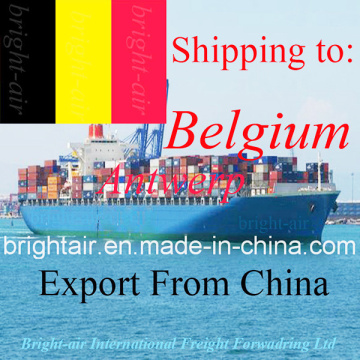 Transport de fret Transport maritime Expéditeur de fret de la Chine vers la Belgique