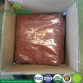 Health fruit ningxia zhongning low pesticide dried goji berry with much Vitamin C