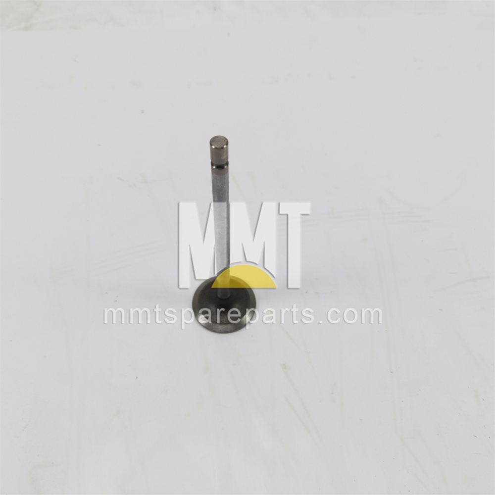 Exhaust Valve 490-1728 Exhaust Valve 490-1728