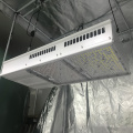 Quantum Board Samsung LM301B vertikales Gartenpanel Licht