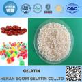 Edible Gelatin for Food Industry